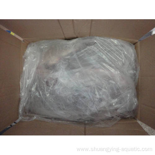 Frozen Tilapia Fish Whole Round Tilapia For Wholesale